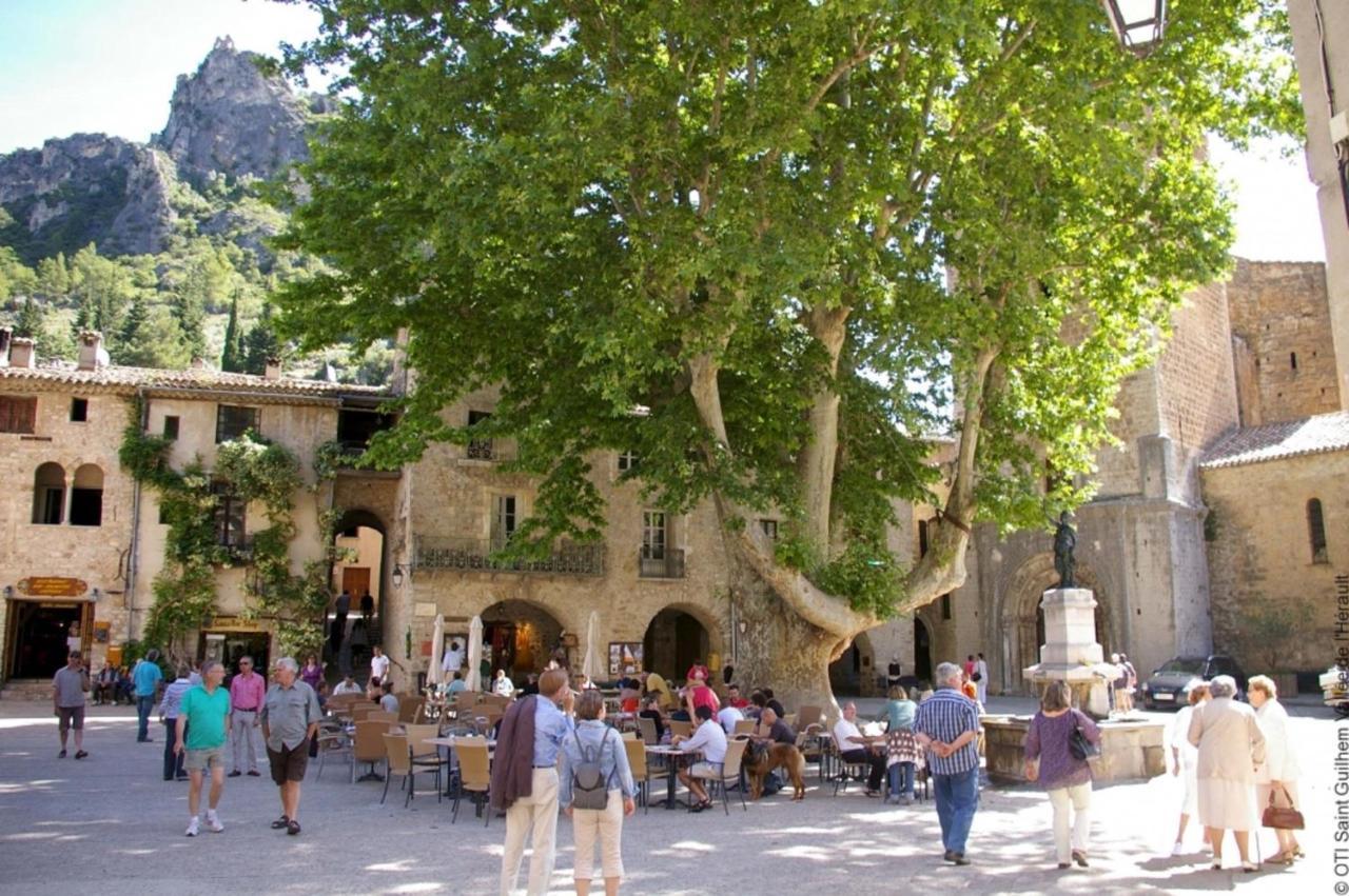 "Belle Etape"-Meuble De Tourisme 3 Etoiles -Residence "Les Logis De Beziers"-Garage Optionnel-Coeur De Ville-Plages A 16Km ! Eksteriør bilde